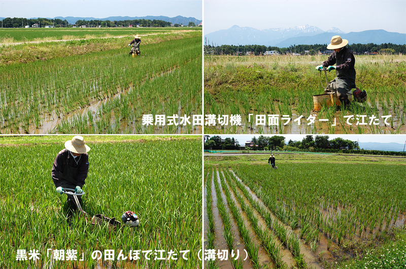 (クリックして拡大表示) 田面ライダーで江たて(溝切り) 江たて(溝切り)