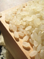 ���̺����ƥ����ҥ���