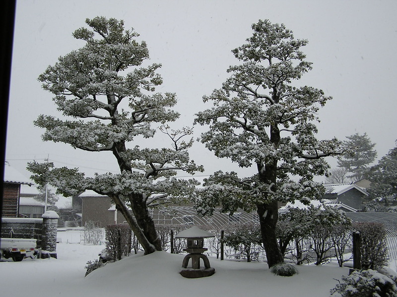 (クリックして拡大表示) 大雪 事務所前より
