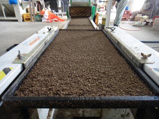 (クリックして拡大表示) 種まき終了。 種まき終了。