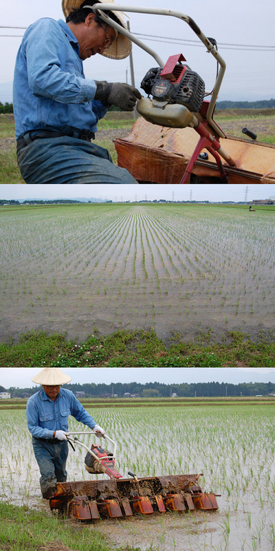 (クリックして拡大表示) ゴロ押し(機械除草) ゴロ押し(機械除草)