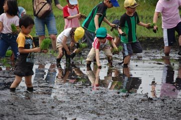 (クリックして拡大表示) 田んぼの学校開催 子供たちと田植えをしました 田んぼの学校開催 子供たちと田植えをしました