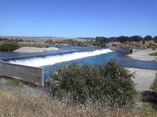 (¥¯¥ê¥Ã¥¯¤·¤Æ³ÈÂçɽ¼¨) ¥¢¥á¥ê¥«¡¡¥«¥ê¥Õ¥©¥ë¥Ë¥¢½£»ë»¡£³ ÅĤó¤Ü¤Î¿å¸»¤Ç¤¹¡£