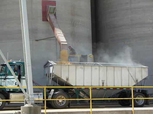 (¥¯¥ê¥Ã¥¯¤·¤Æ³ÈÂçɽ¼¨) ¥¢¥á¥ê¥«¡¡¥«¥ê¥Õ¥©¥ë¥Ë¥¢½£»ë»¡£µ ÊÆ¥µ¥¤¥í¤«¤é¥È¥ì¡¼¥é¡¼¤Ë°Ü¤·¤ÆÀºÊƹ©¾ì¤Ø