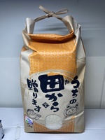 ¤Ä¤äɱ¡¡ÆÃÊ̺ÏÇÝÊÆ¡Ê̵ÇÀÌô¸¡ºº100À®Ê¬¸¡½Ð¤Ê¤·