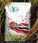 ͵¡£Ê£Á£Óǧ¾Ú ±ÛÃæÉÙ»³¤Î¤³¤·¤Ò¤«¤ê¤«¤°¤äɱ