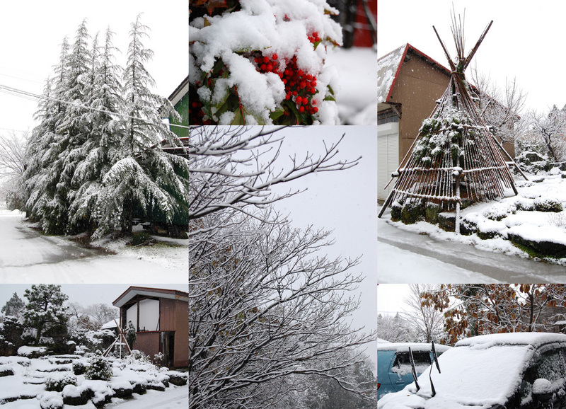(クリックして拡大表示) 初雪(12/1) 初雪