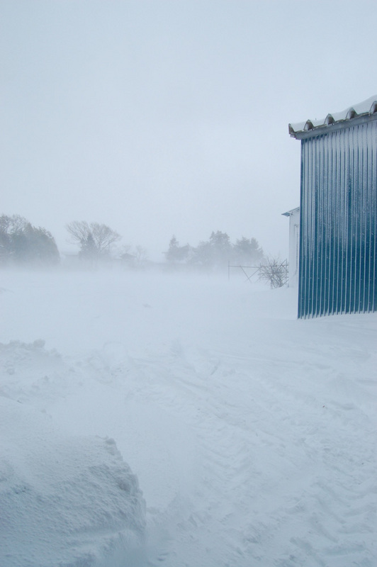 (クリックして拡大表示) 地吹雪 地吹雪
