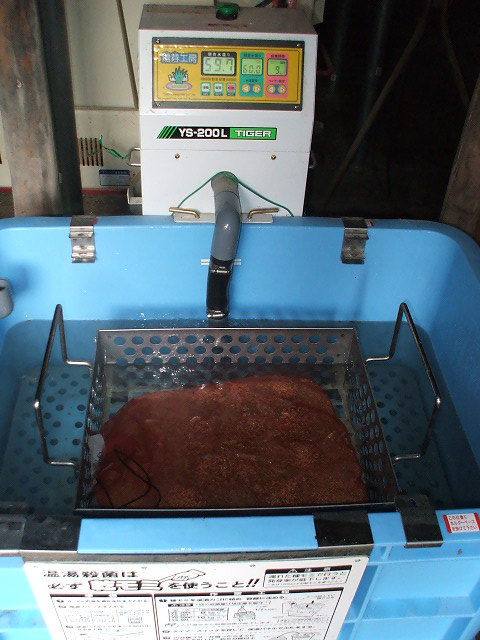 (クリックして拡大表示) 種籾の温湯消毒 無農薬米の種籾消毒