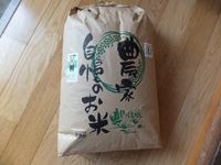 ̵ÇÀÌô̵²½³ØÈîÎÁ¡¢JAS͵¡¡¢¤Þ¤´¤³¤íÊÆ¤Ç¤¹µ¹¤·¤¯¡ª