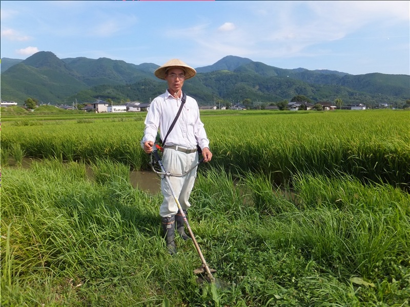 (クリックして拡大表示) 草払い 完全防備