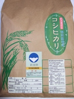 新潟県産 認証特栽米（減農薬・減化学肥料栽培米）　コシヒカリ