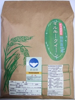新潟県産 認証特栽米（減農薬・減化学肥料栽培米）　ミルキークイーン