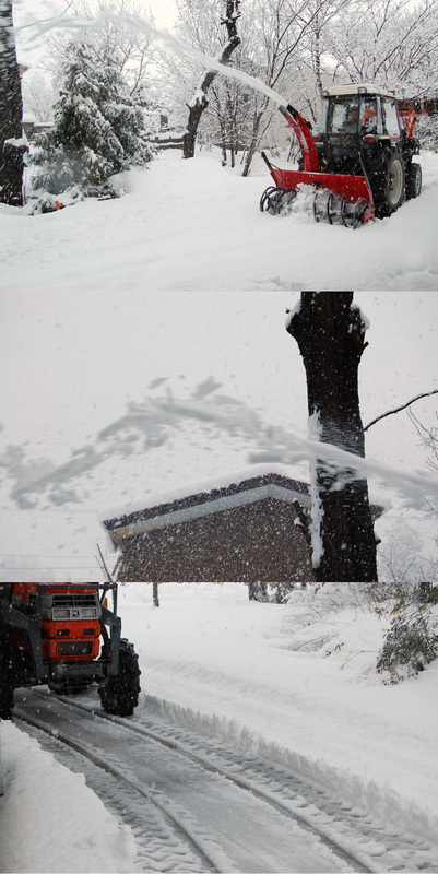 (クリックして拡大表示) 除雪 除雪