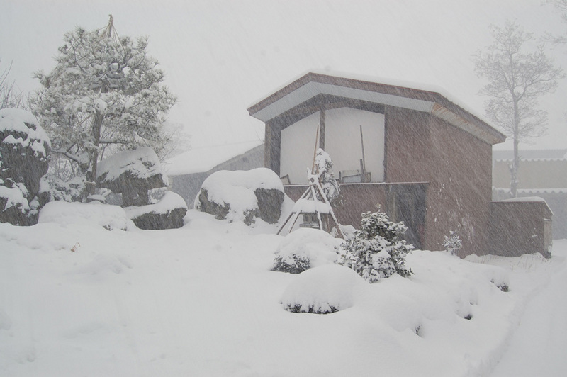 (クリックして拡大表示) 寒波襲来 庭に積もる雪