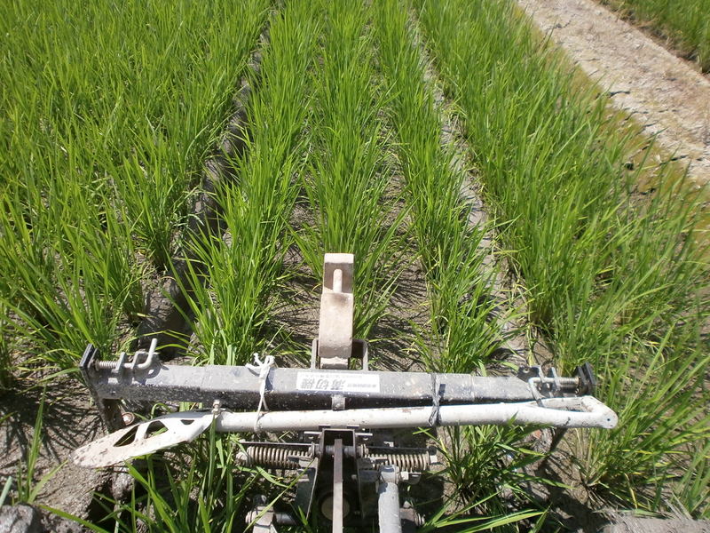 (¥¯¥ê¥Ã¥¯¤·¤Æ³ÈÂçɽ¼¨) ¹ÂÀÚ¤êºî¶È ¹ÂÀÚ¤êºî¶È