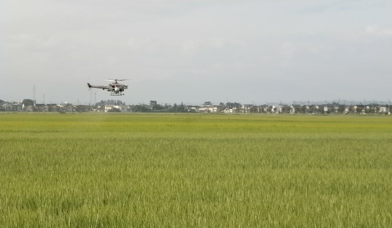 (¥¯¥ê¥Ã¥¯¤·¤Æ³ÈÂçɽ¼¨) ¥é¥¸¥³¥ó¥Ø¥ê¤Ë¤è¤ëËɽü ¥é¥¸¥³¥ó¥Ø¥ê¤Ë¤è¤ëËɽü