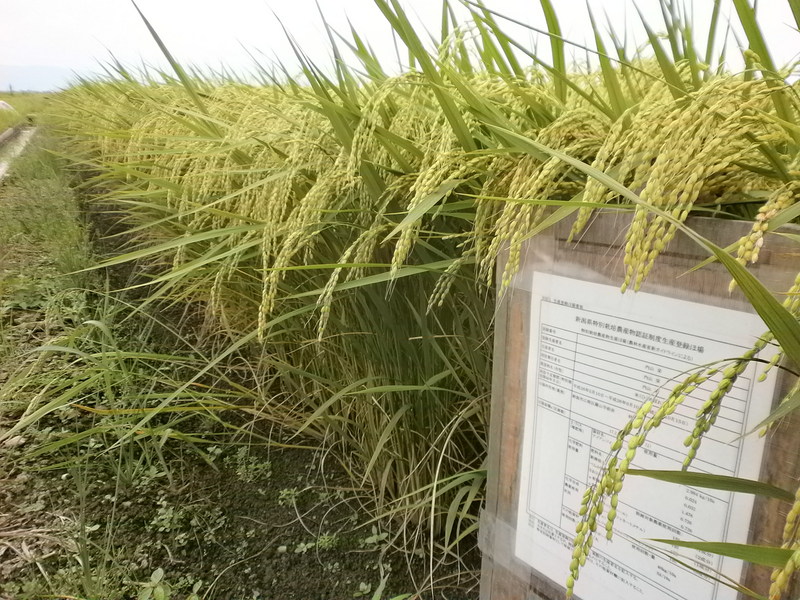 (¥¯¥ê¥Ã¥¯¤·¤Æ³ÈÂçɽ¼¨) °ðÊæ¤¬¿â¤ì¤Æ¤¤Þ¤·¤¿¡£ °ðÊæ