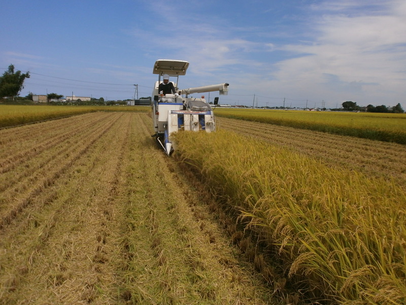 (¥¯¥ê¥Ã¥¯¤·¤Æ³ÈÂçɽ¼¨) °ð´¢¤ê»Ï¤á¤Þ¤·¤¿¡£ °ð´¢¤ê