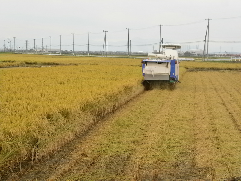 (¥¯¥ê¥Ã¥¯¤·¤Æ³ÈÂçɽ¼¨) °ð´¢¤ê¤ò½ª¤¨¤Þ¤·¤¿¡£ °ð´¢¤ê½ªÎ»