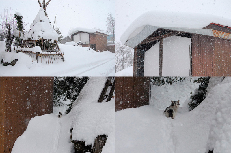 (クリックして拡大表示) 雪に埋もれて 雪