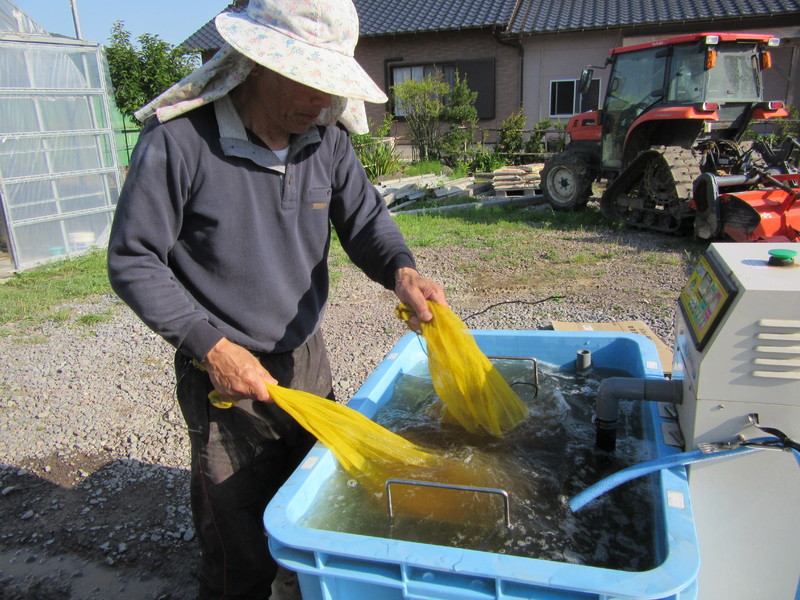 (クリックして拡大表示) 温湯消毒 籾を60°のお湯で消毒