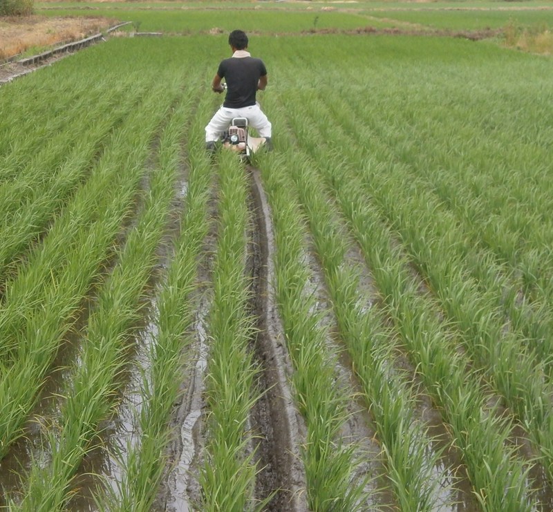 (クリックして拡大表示) 溝切り開始 溝切り