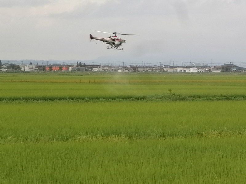 (クリックして拡大表示) ラジコンヘリによる稲の防除 ラジコンヘリによる防除
